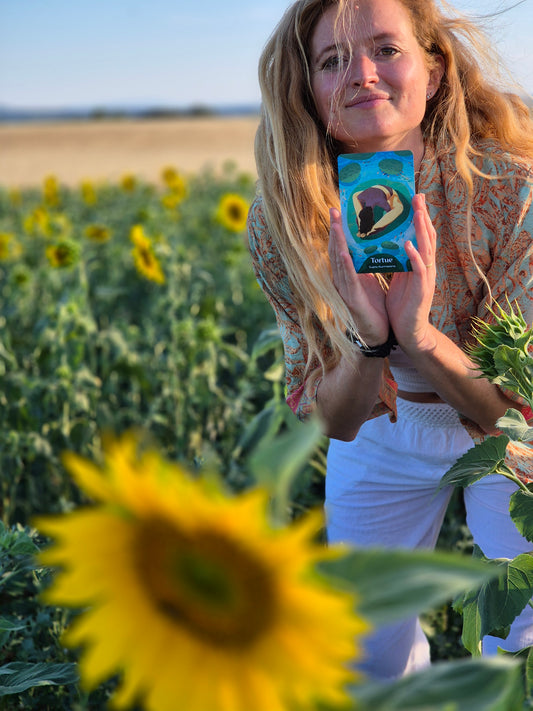 Comment utiliser les cartes en voyage ?